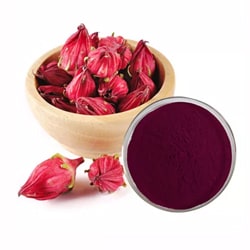 Hibiscus Pulver
