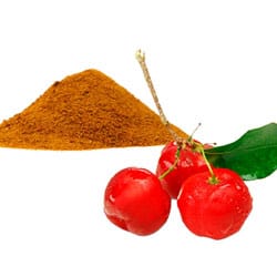 Acerolapulver