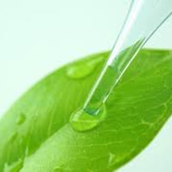 Bio Glycerin