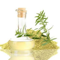Jojoba protein
