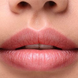 Maxi lip peptid