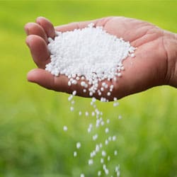 Urea