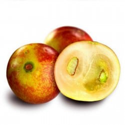 Camu Camu Extrakt