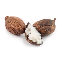 Bio Babassuöl