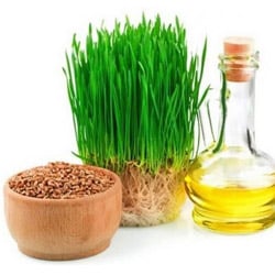 Bio Weizenkeimöl