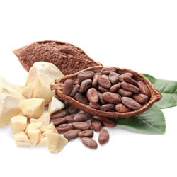 Bio Kakaobutter