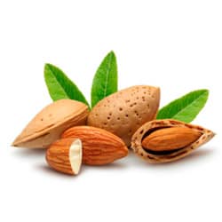 Bio Mandelöl