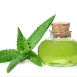 Aloe Vera Öl