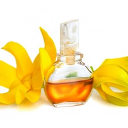 Ylang öl