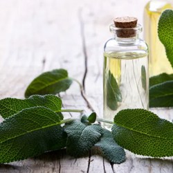 Bio Salbeiöl