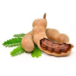 Tamarind Extrakt