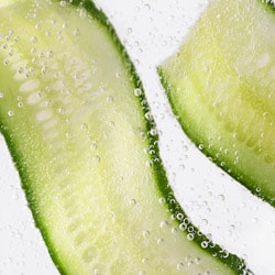 Bio Gurkenextrakt